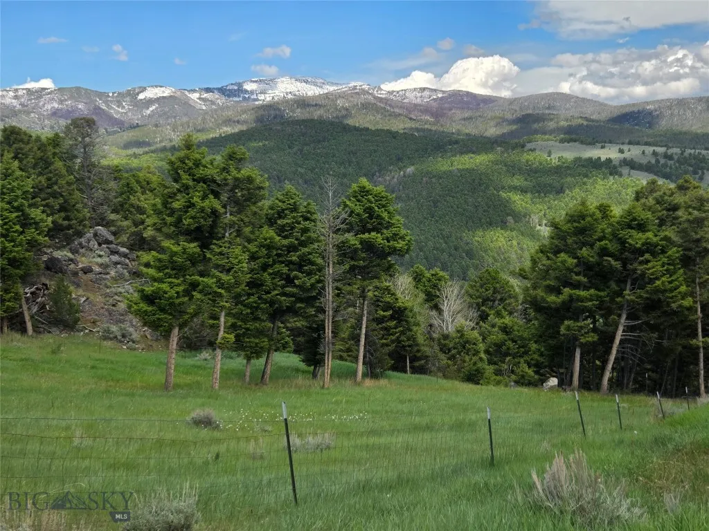 Tbd Bivens Creek Road Sheridan MT 59749
