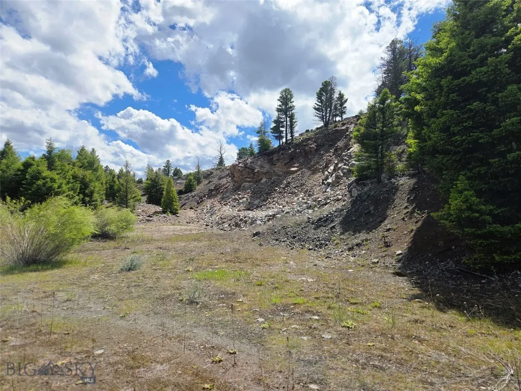 Tbd Bivens Creek Road Sheridan MT 59749