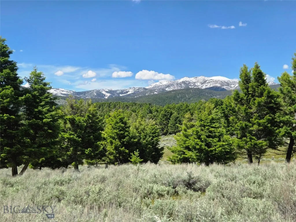 Tbd Bivens Creek Road Sheridan MT 59749
