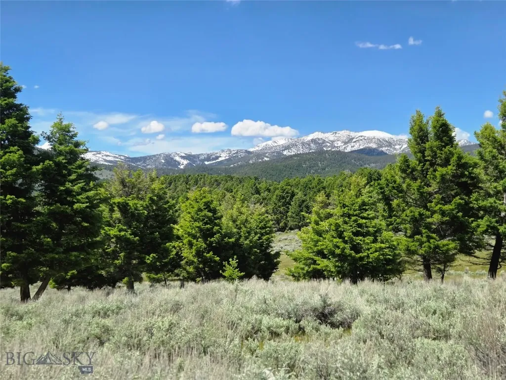 Tbd Bivens Creek Road Sheridan MT 59749