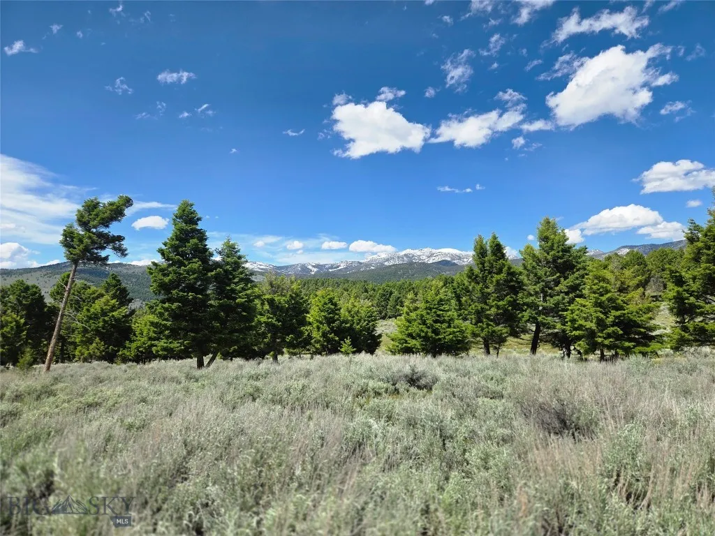 Tbd Bivens Creek Road Sheridan MT 59749
