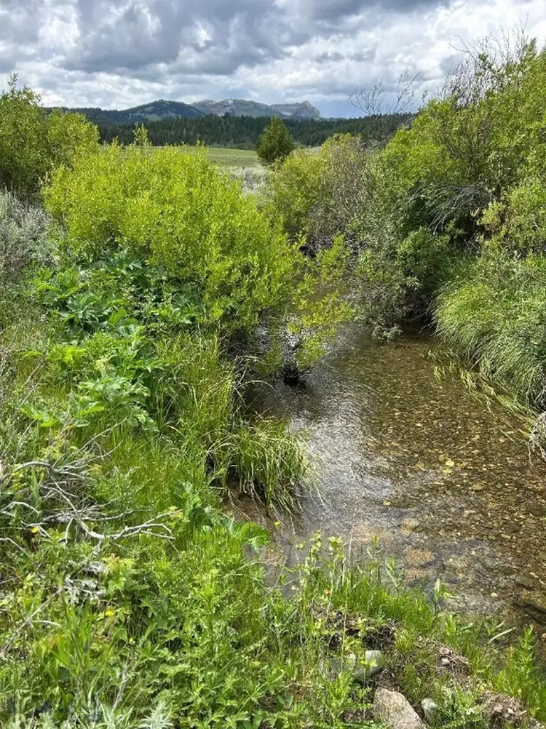 165 Denny Creek Road West Yellowstone MT 59758