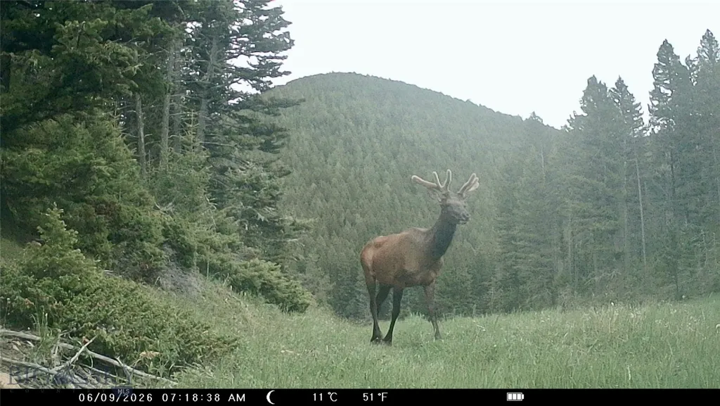 Tbd Maiden Road Lewistown MT 59457