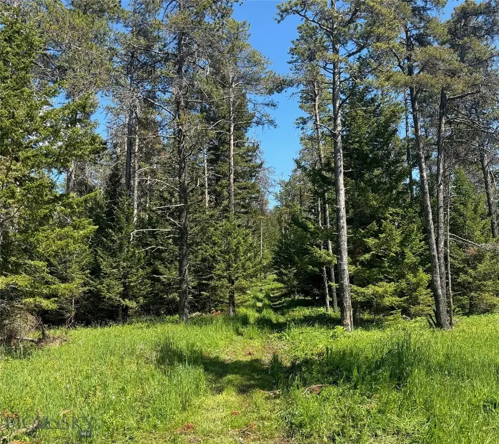 Tbd Maiden Road Lewistown MT 59457