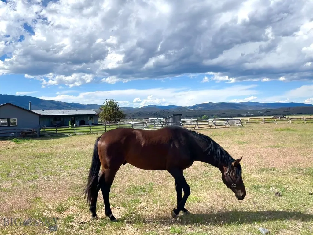 56 Yellowstone Trail Pray MT 59065