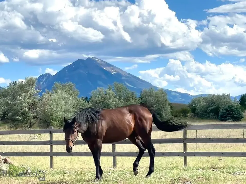 56 Yellowstone Trail Pray MT 59065