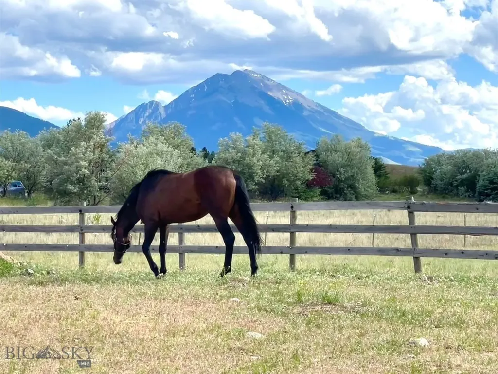 56 Yellowstone Trail Pray MT 59065
