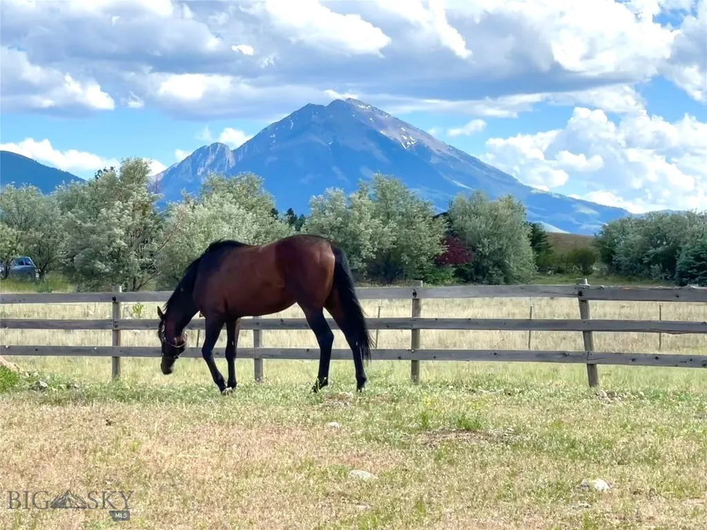 56 Yellowstone Trail Pray MT 59065