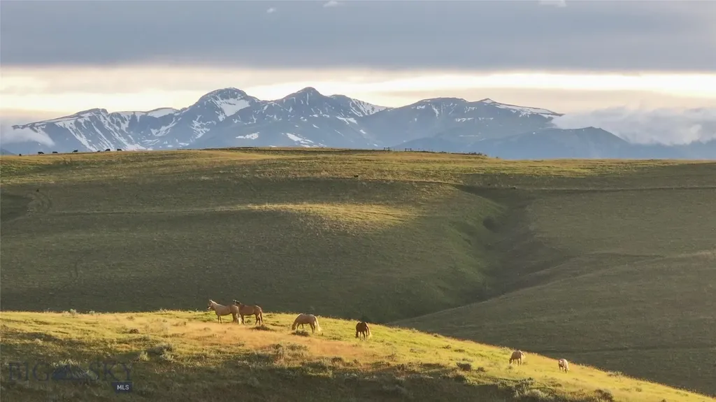 581 Willow Creek Road Red Lodge MT 59068