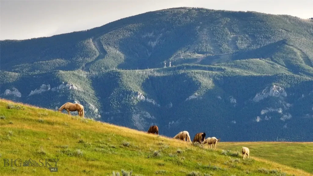 581 Willow Creek Road Red Lodge MT 59068