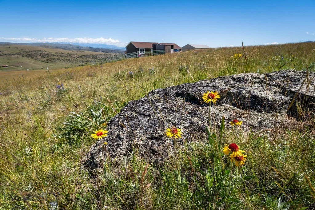Livingston MT 59047