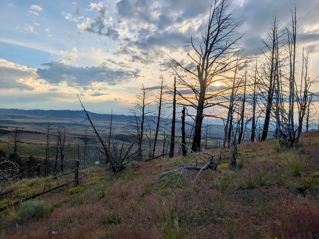 Lot 397 Tbd Lightning Ridge Trail Three Forks MT 59752