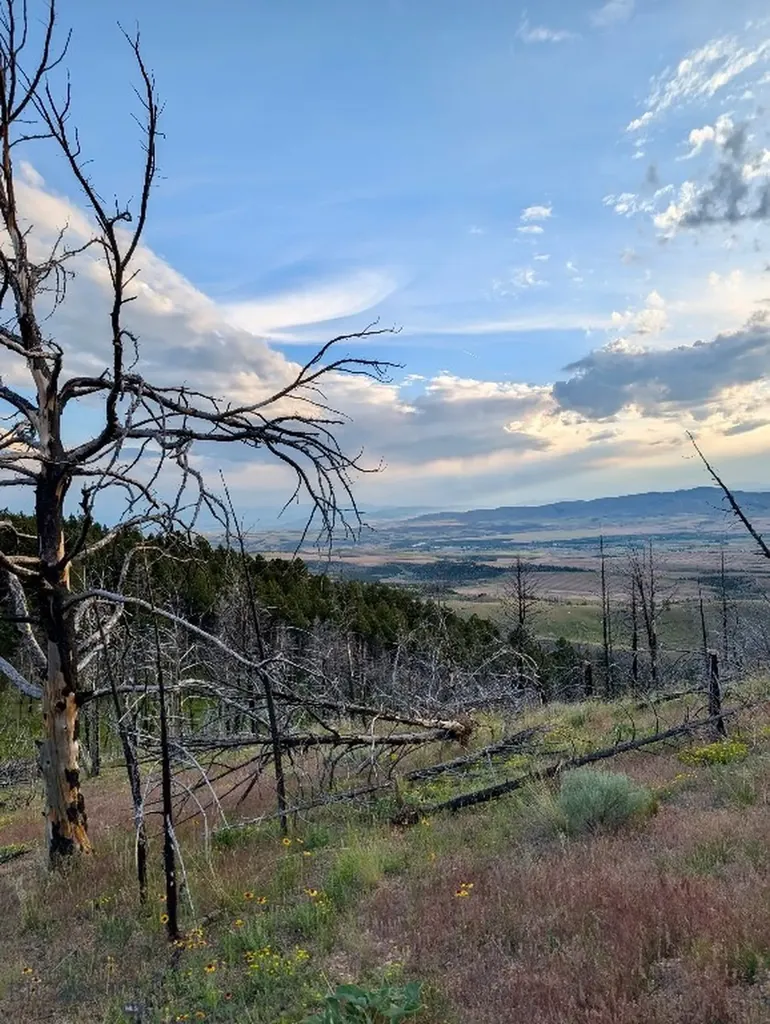 Lot 397 Tbd Lightning Ridge Trail Three Forks MT 59752