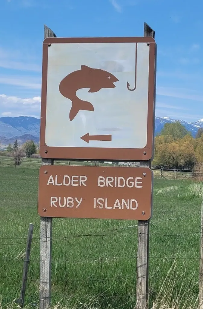 747 Upper Ruby Road Alder MT 59755