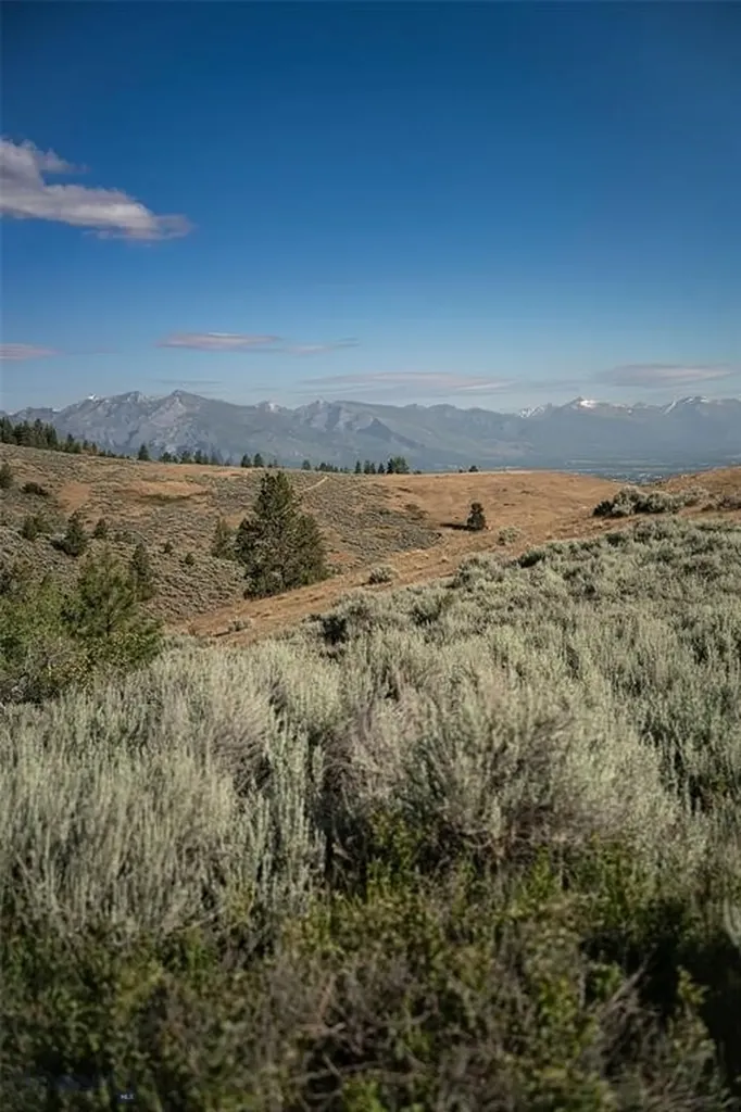 Hamilton MT 59840