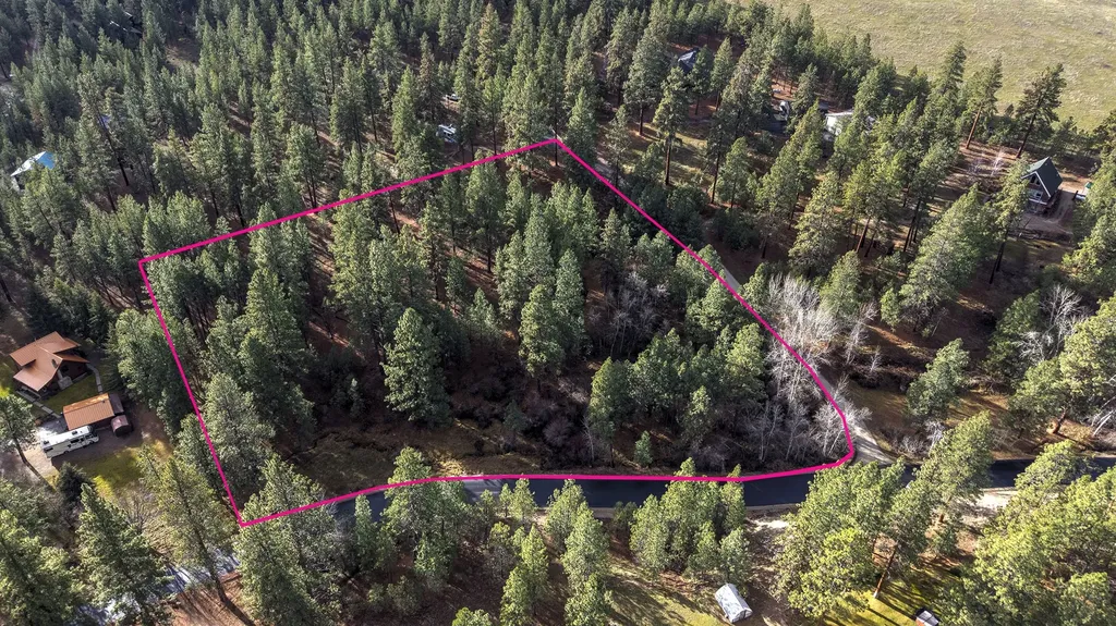 000 Lot 7 Cone Drive Hamilton MT 59840