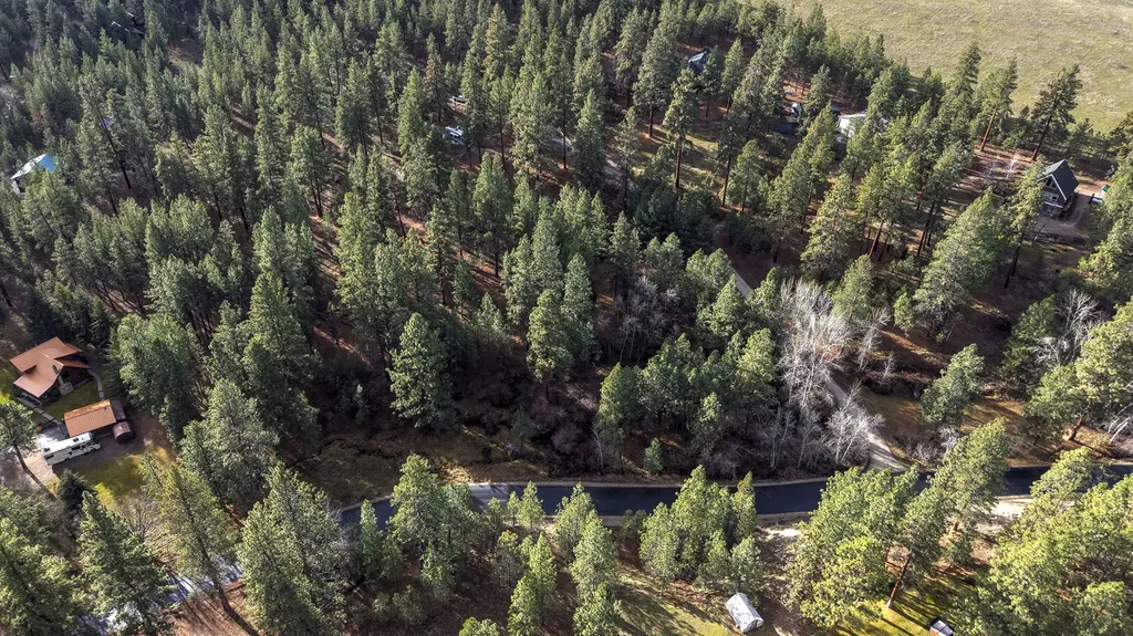 000 Lot 7 Cone Drive Hamilton MT 59840