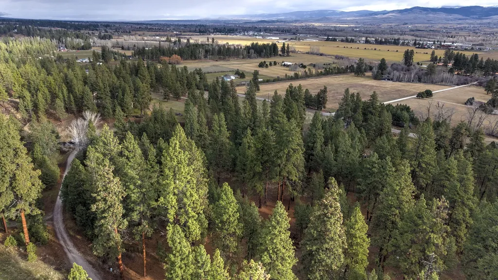 000 Lot 7 Cone Drive Hamilton MT 59840