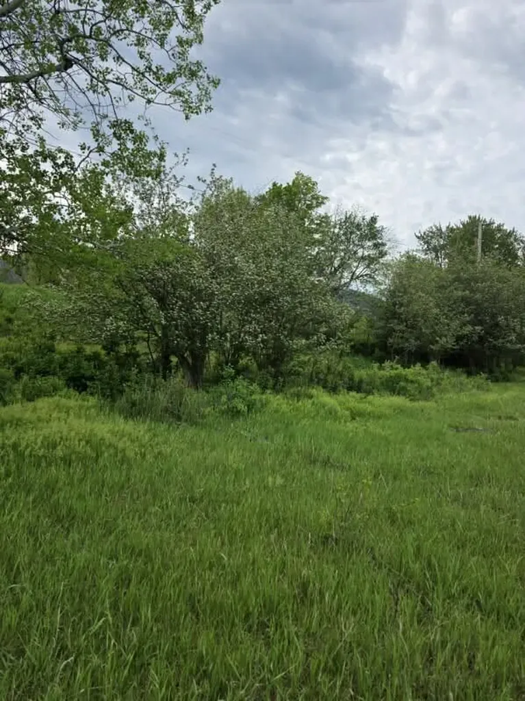 Nhn Stitt Lane Clinton MT 59825