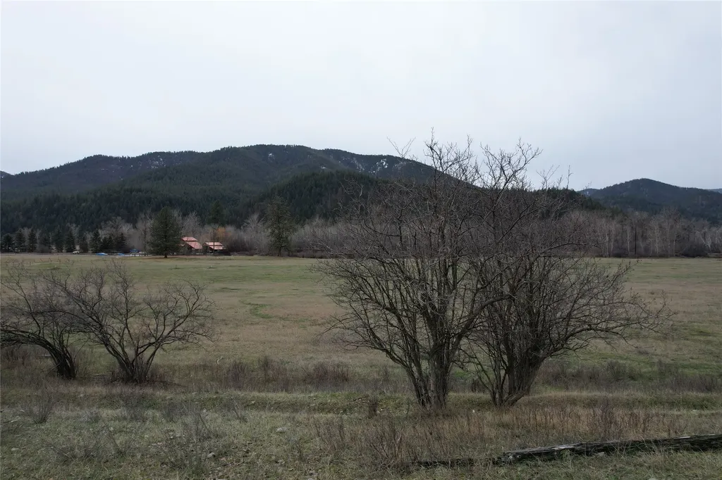 Nhn Stitt Lane Clinton MT 59825