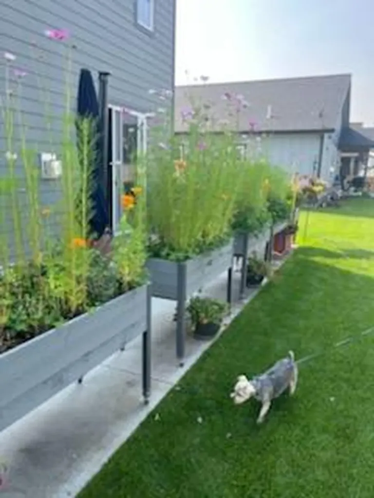 3025 Elderberry Avenue Kalispell MT 59901