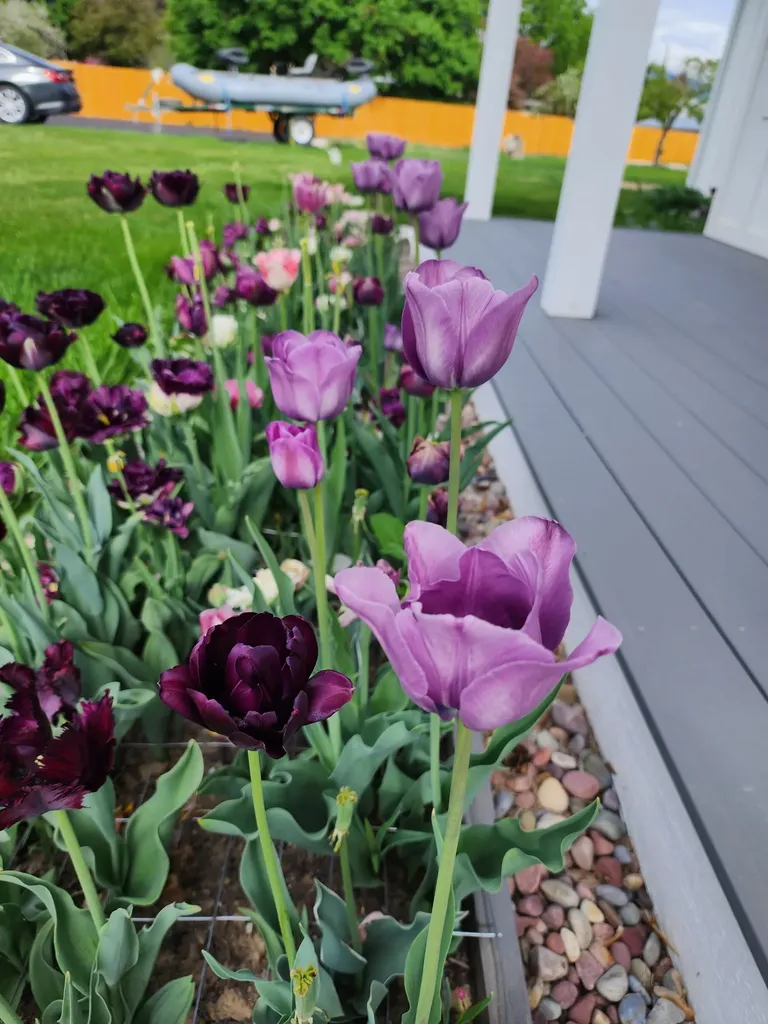 324 Doran Lane Hamilton MT 59840