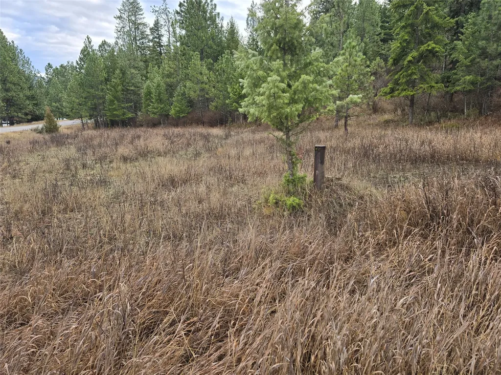 Lot 5 Tami Drive E Superior MT 59872