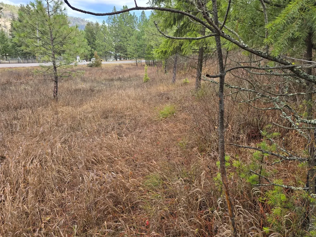 Lot 5 Tami Drive E Superior MT 59872