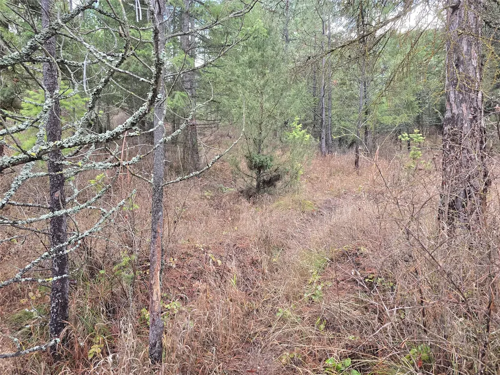 Lot 5 Tami Drive E Superior MT 59872