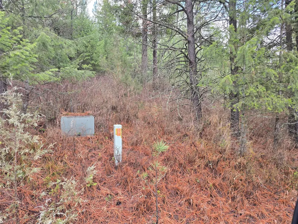 Lot 5 Tami Drive E Superior MT 59872