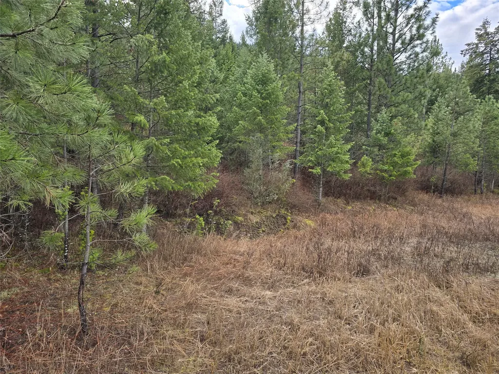 Lot 5 Tami Drive E Superior MT 59872