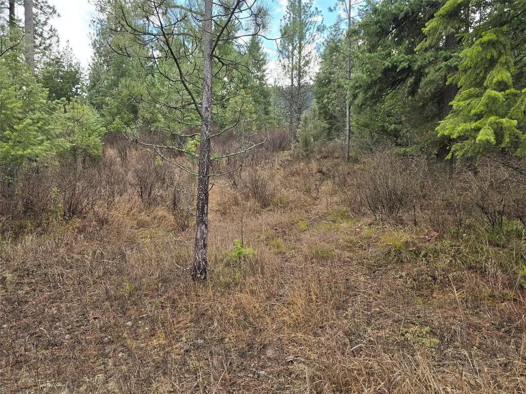 Lot 5 Tami Drive E Superior MT 59872