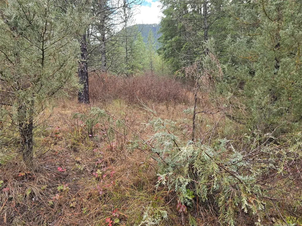 Lot 5 Tami Drive E Superior MT 59872