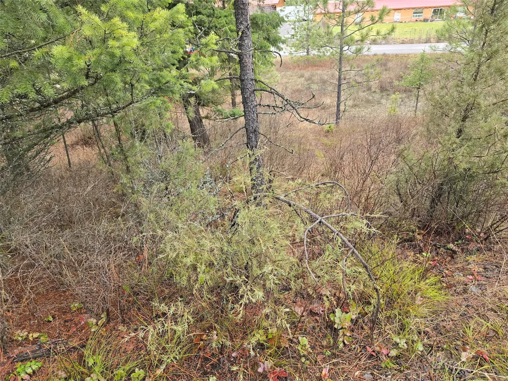 Lot 5 Tami Drive E Superior MT 59872