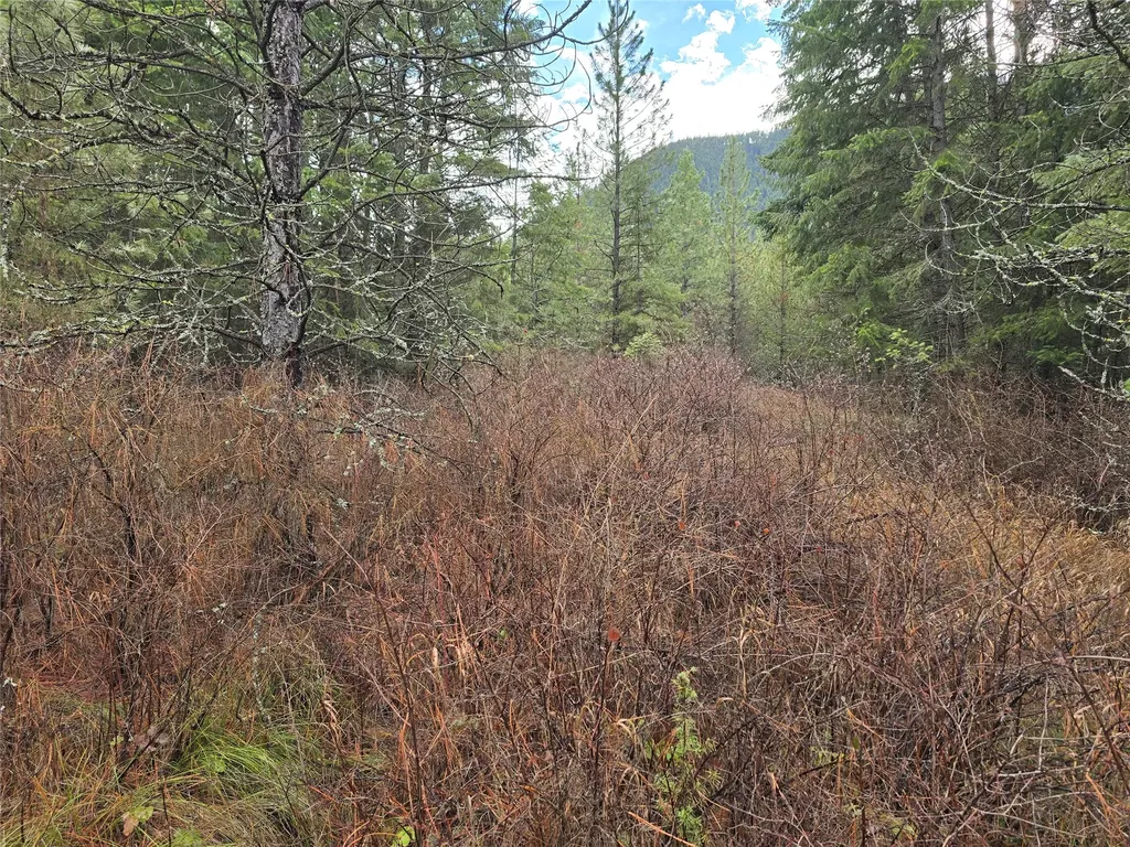 Lot 5 Tami Drive E Superior MT 59872