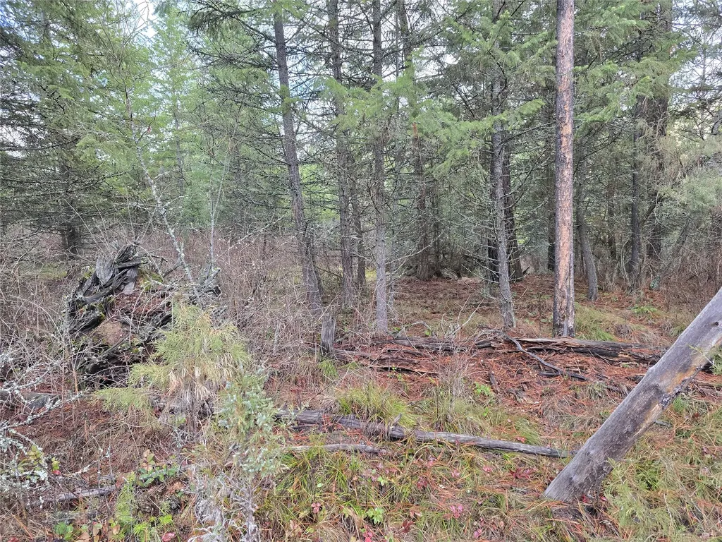746 Tami Drive E Superior MT 59872