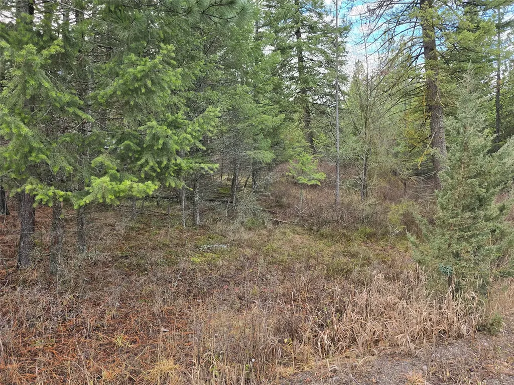 746 Tami Drive E Superior MT 59872