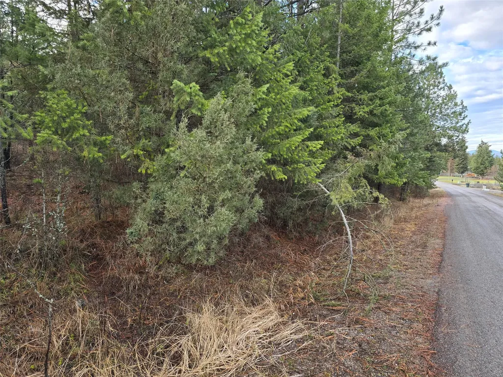 746 Tami Drive E Superior MT 59872