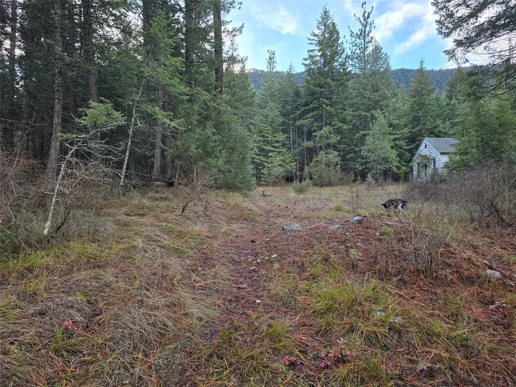 746 Tami Drive E Superior MT 59872