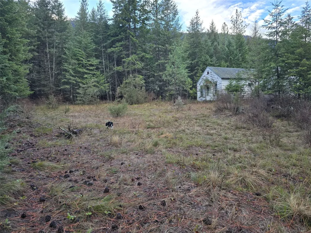 746 Tami Drive E Superior MT 59872