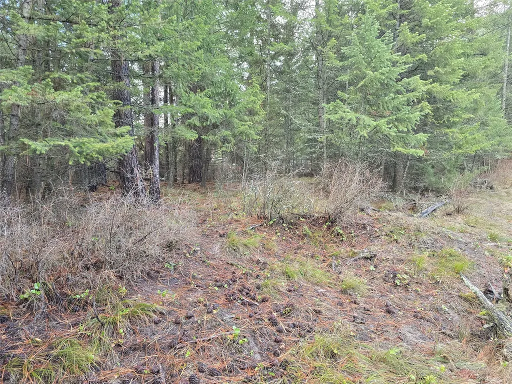 746 Tami Drive E Superior MT 59872