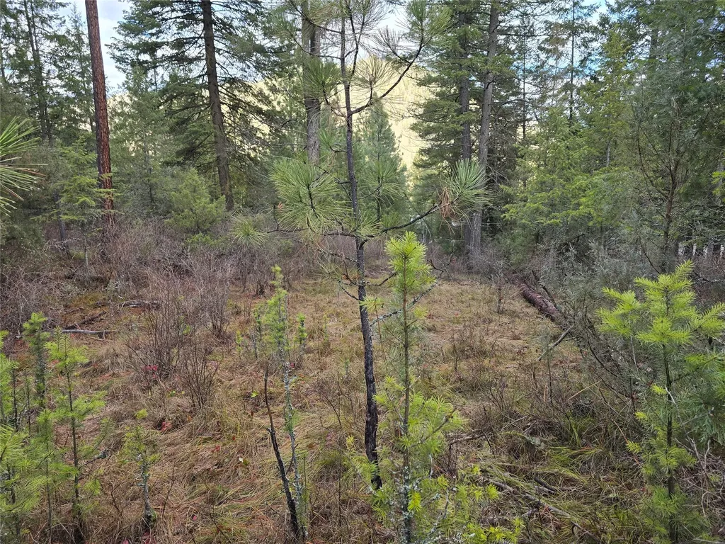746 Tami Drive E Superior MT 59872