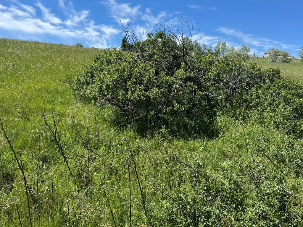2216 Larkspur Lane Great Falls MT 59404