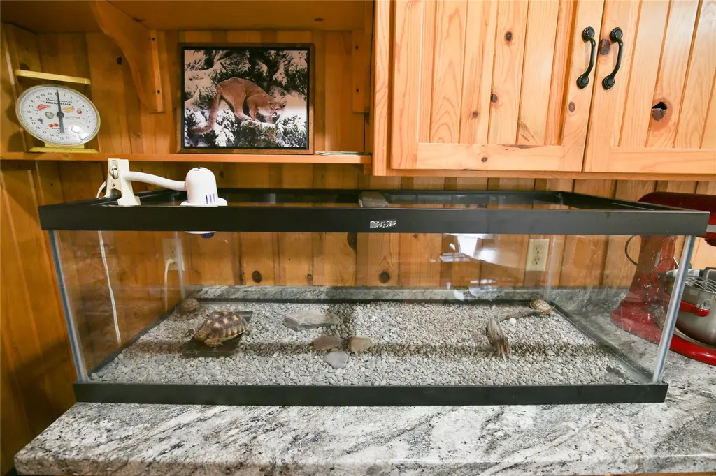 32 Whitepine Creek Road Trout Creek MT 59874