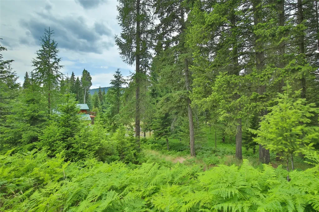 32 Whitepine Creek Road Trout Creek MT 59874