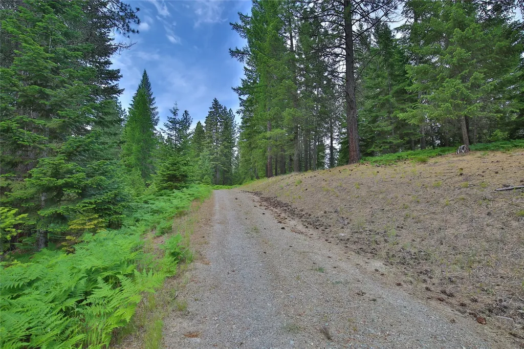32 Whitepine Creek Road Trout Creek MT 59874