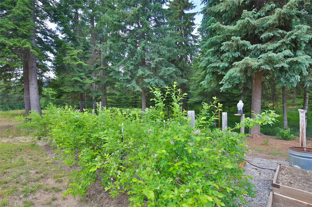32 Whitepine Creek Road Trout Creek MT 59874