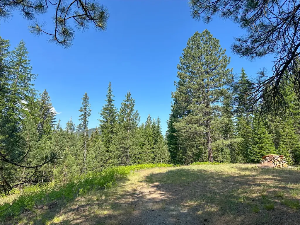32 Whitepine Creek Road Trout Creek MT 59874