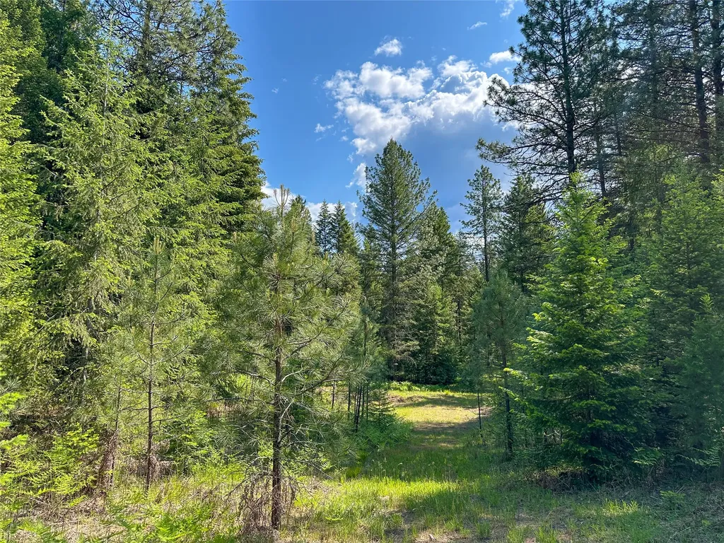 32 Whitepine Creek Road Trout Creek MT 59874