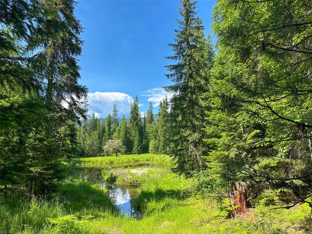 32 Whitepine Creek Road Trout Creek MT 59874